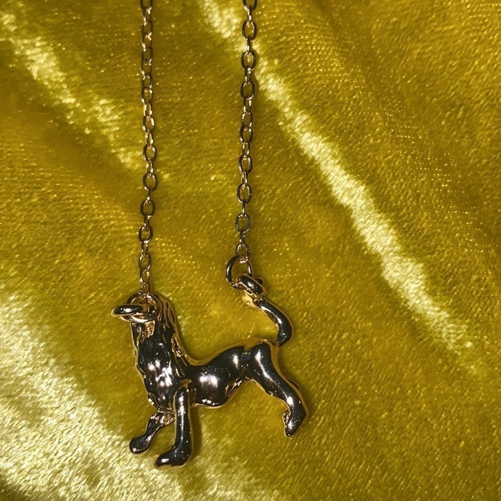 Akira Leo necklace